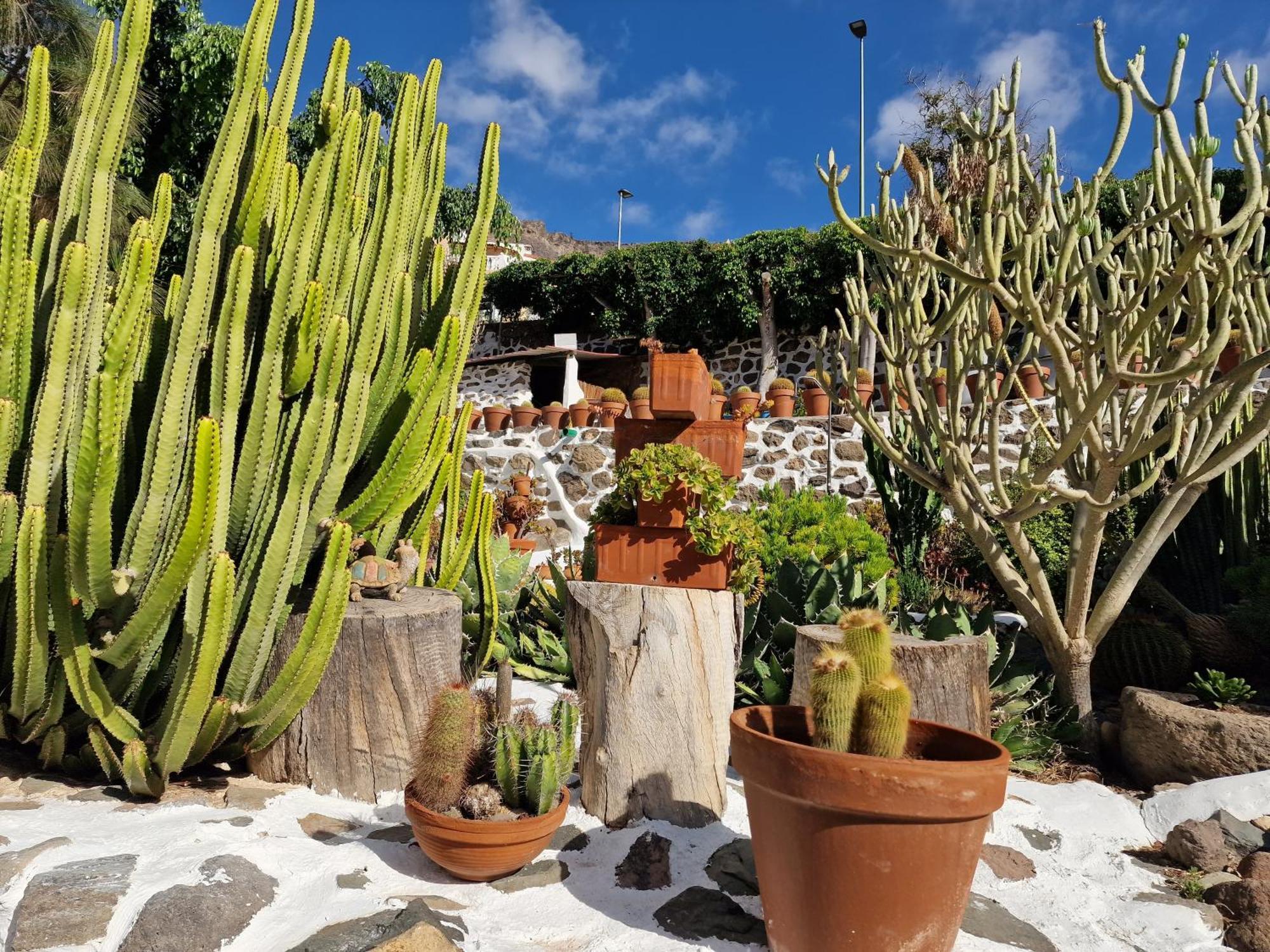 Villa Historica Casa Con Vistas Al Jardin De Cactus Y Montanas Mogán Esterno foto