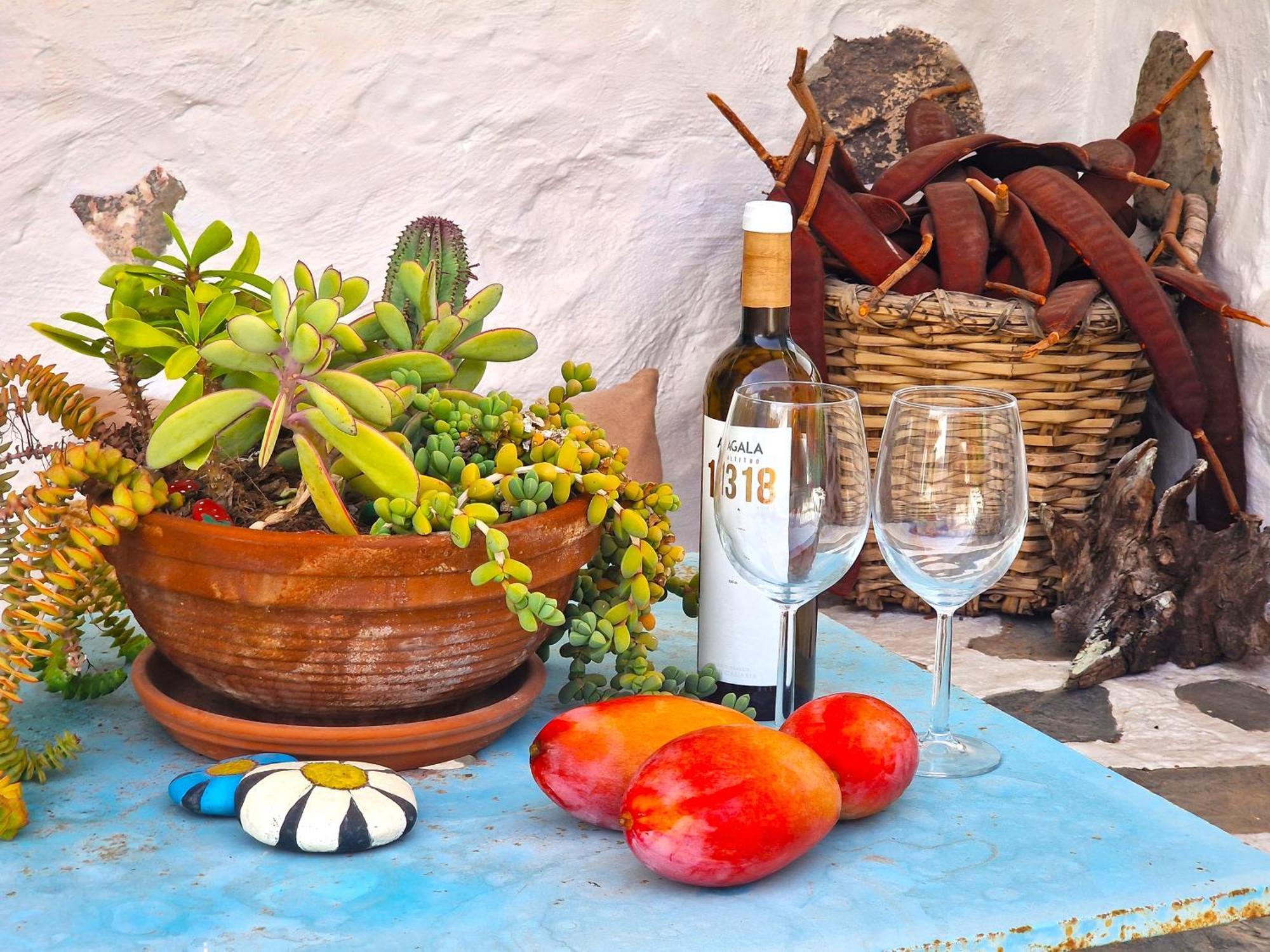 Villa Historica Casa Con Vistas Al Jardin De Cactus Y Montanas Mogán Esterno foto
